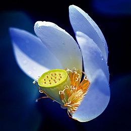 《使命召唤》联动《古墓丽影》 劳拉即将加入游戏